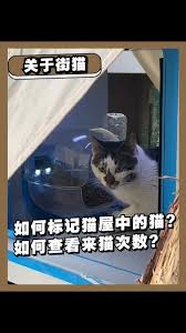 街猫app怎样发评论