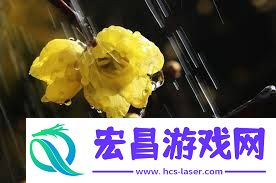 梅雨的梅是甚么含义
